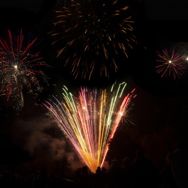 Elizabethg Fineart Photography Croxleyparkfireworks040