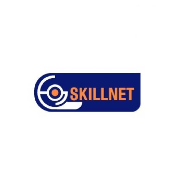 Skillnet 2