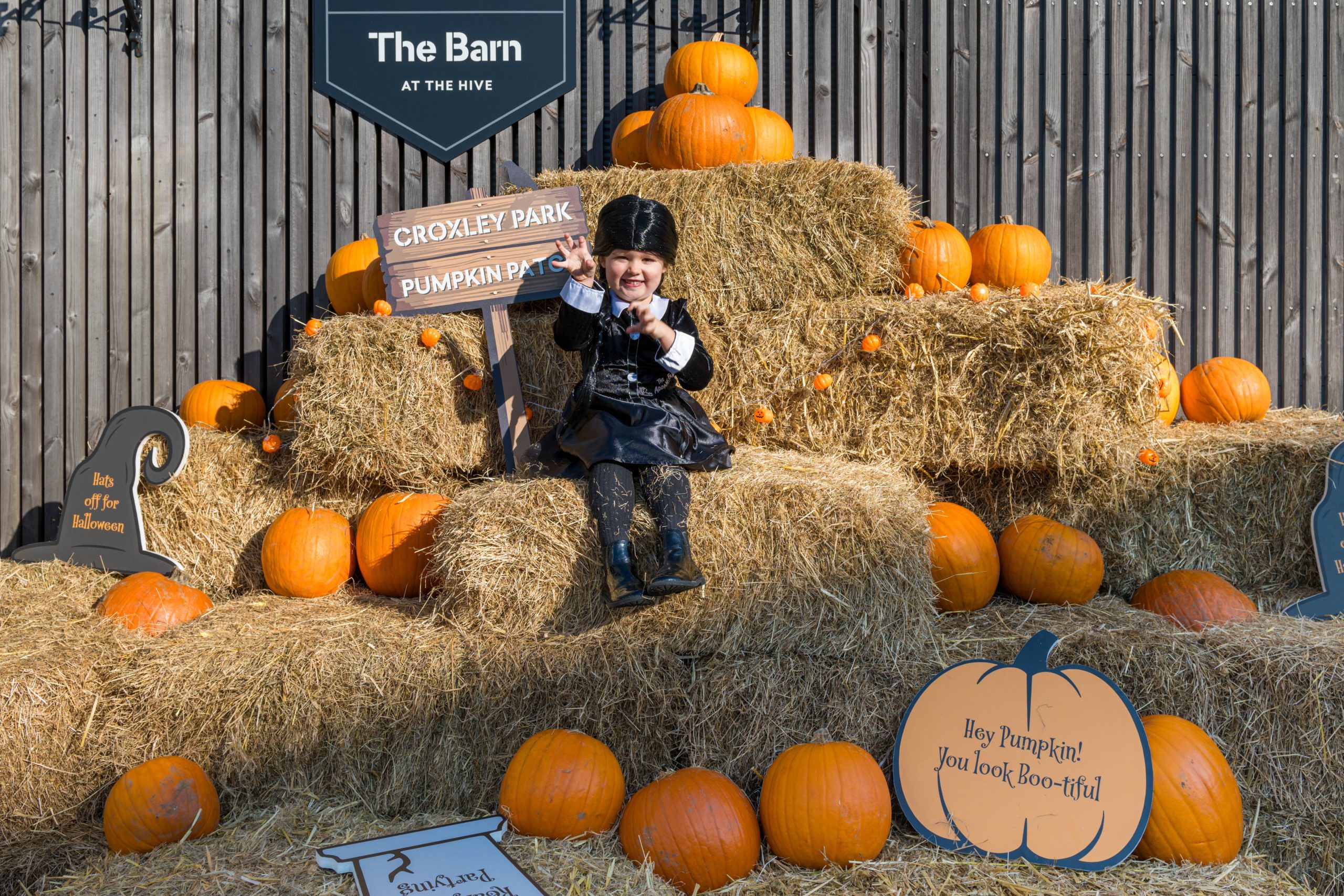 Croxley Mini Monster Bash - croxley-park