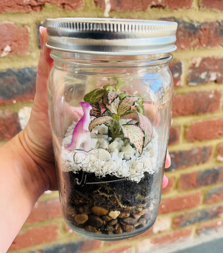 Terrarium Workshop - croxley-park