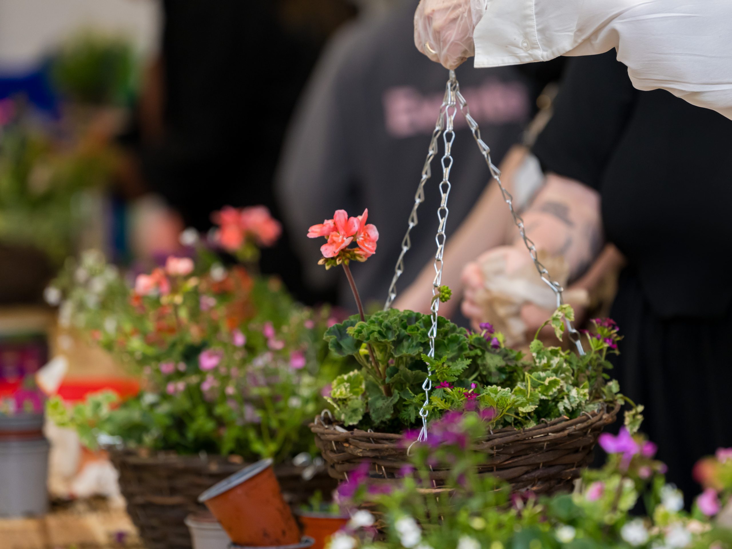 Spring Hanging Basket Workshop - croxley-park